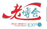 2021第九屆四川國(guó)際健康和養(yǎng)老產(chǎn)業(yè)博覽會(huì)